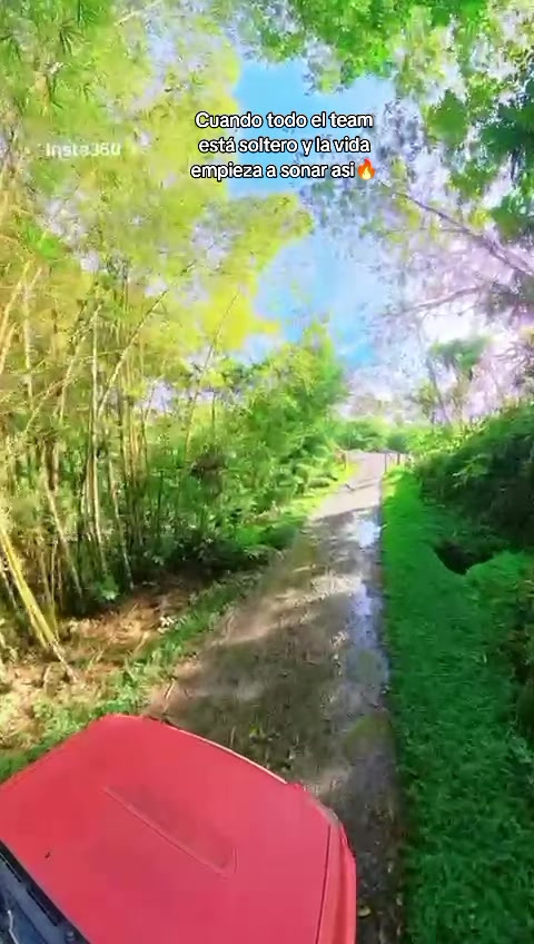 @edimapache