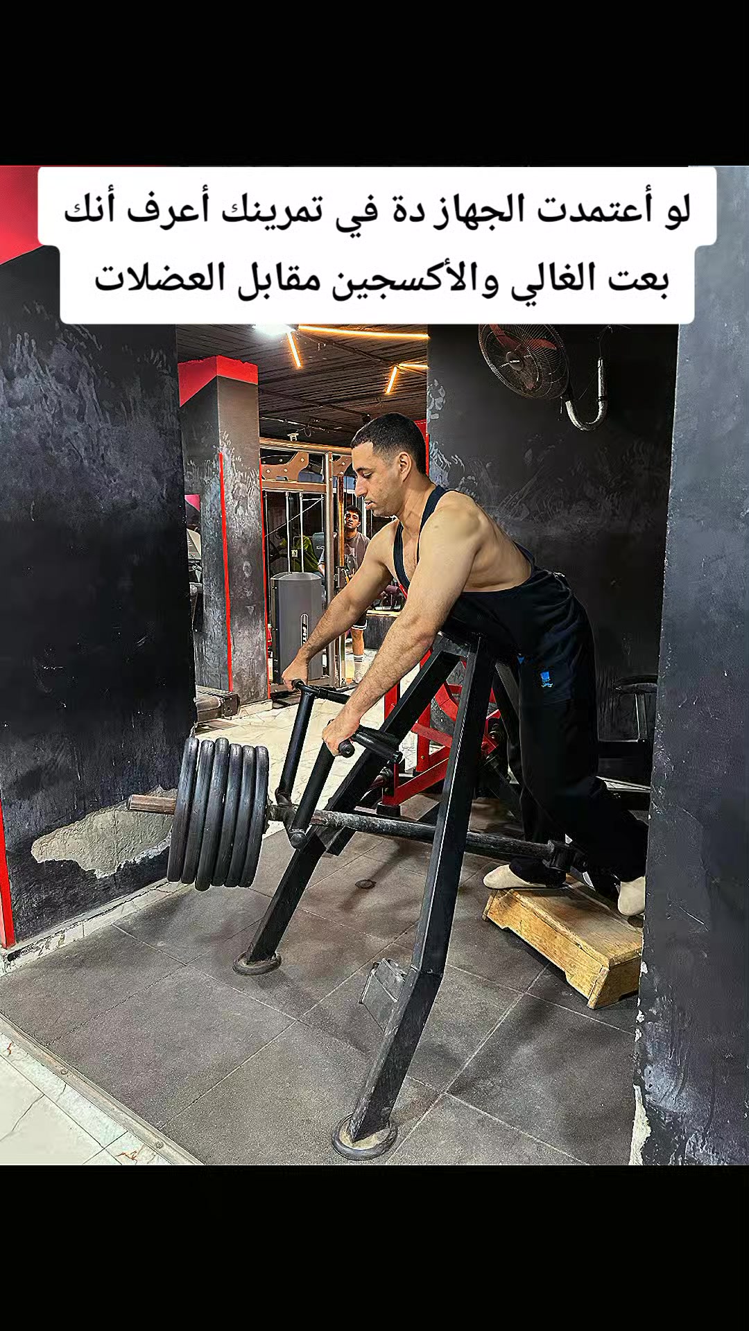 @Ahmed ashraf 🦍