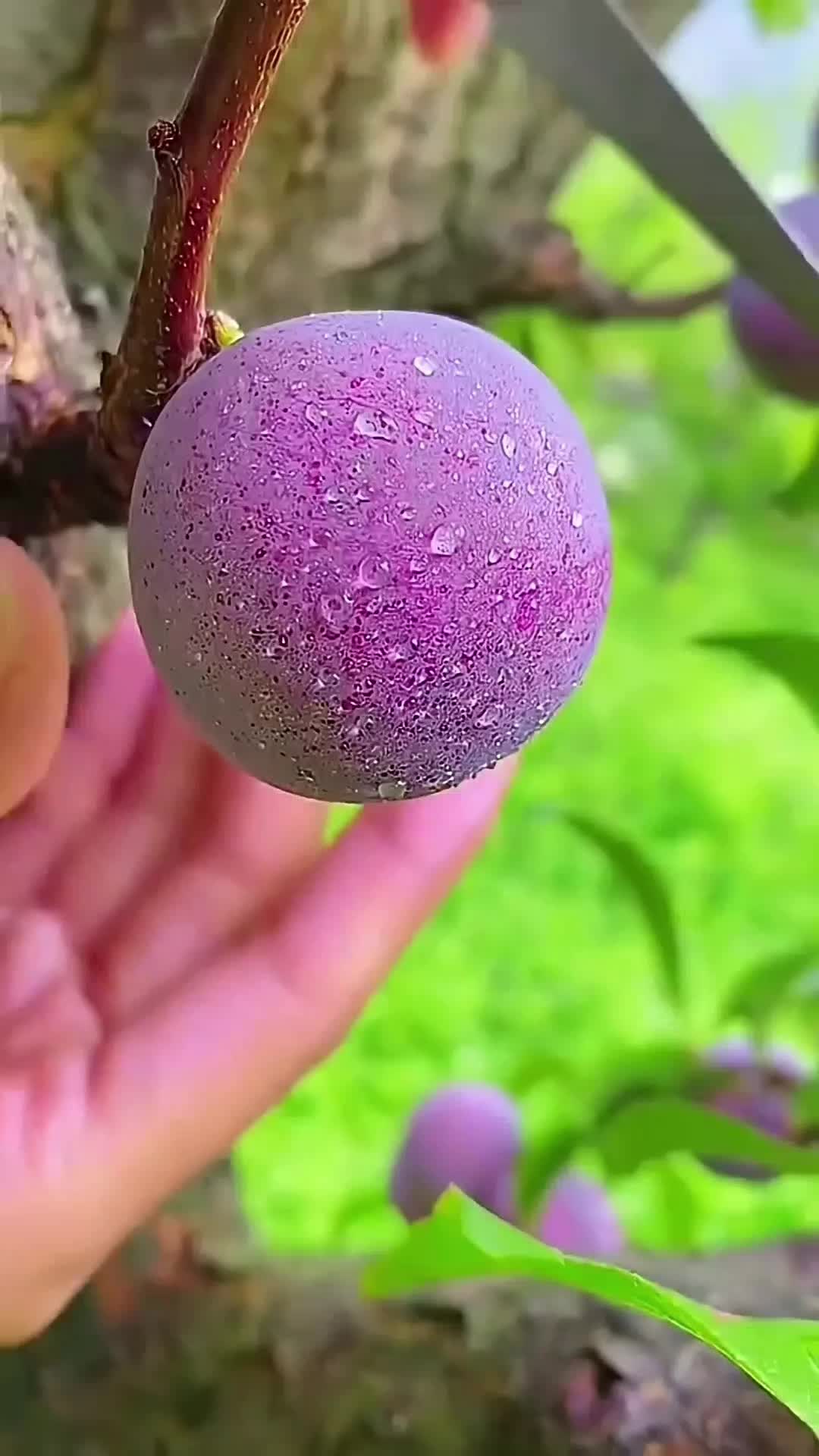 @𝐈𝐒𝐋𝐀𝐌𝐈𝐂 𝐕𝐈𝐁𝐄𝐒🥀