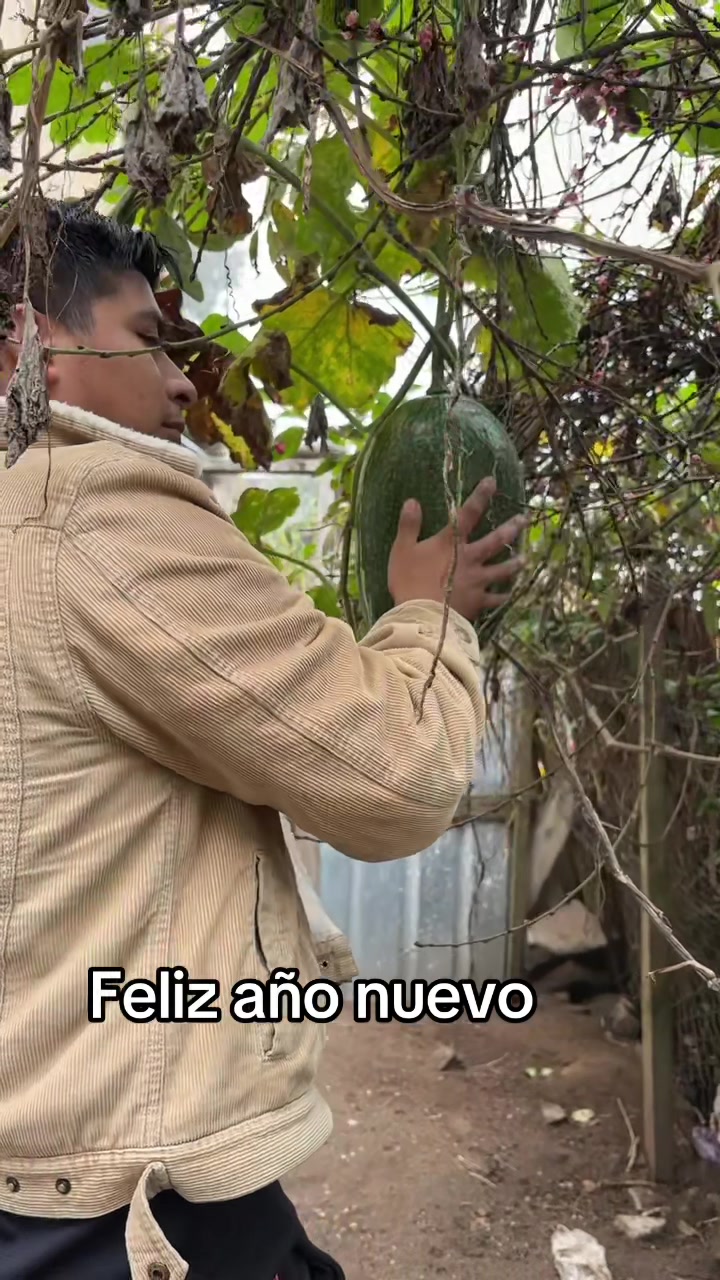@Sargento Ramirez
