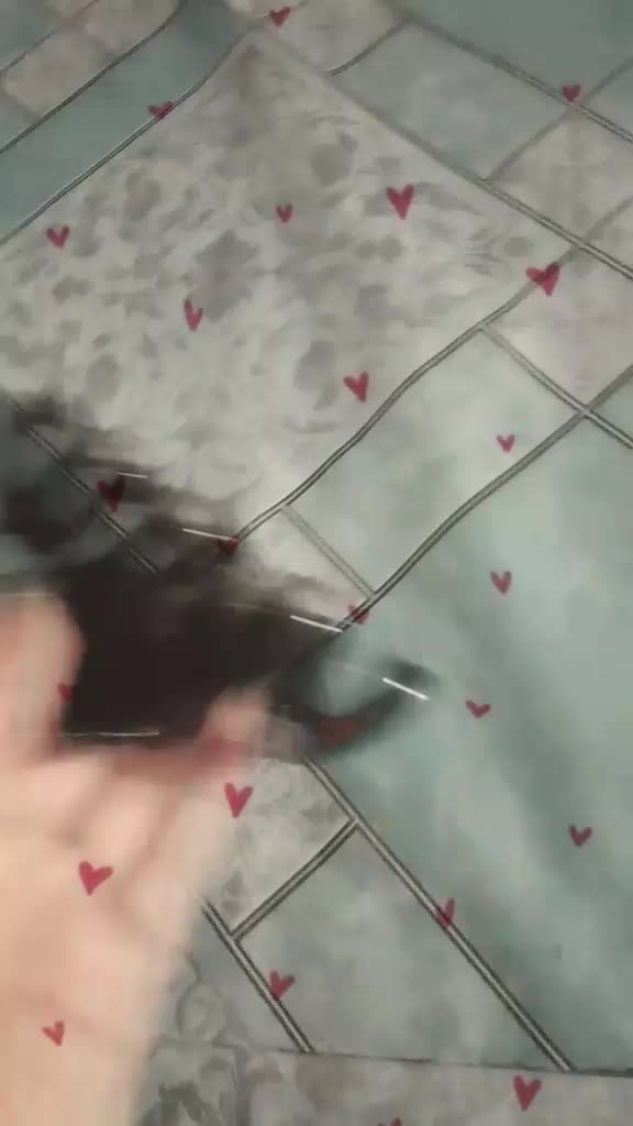 @🥰purnu🥰