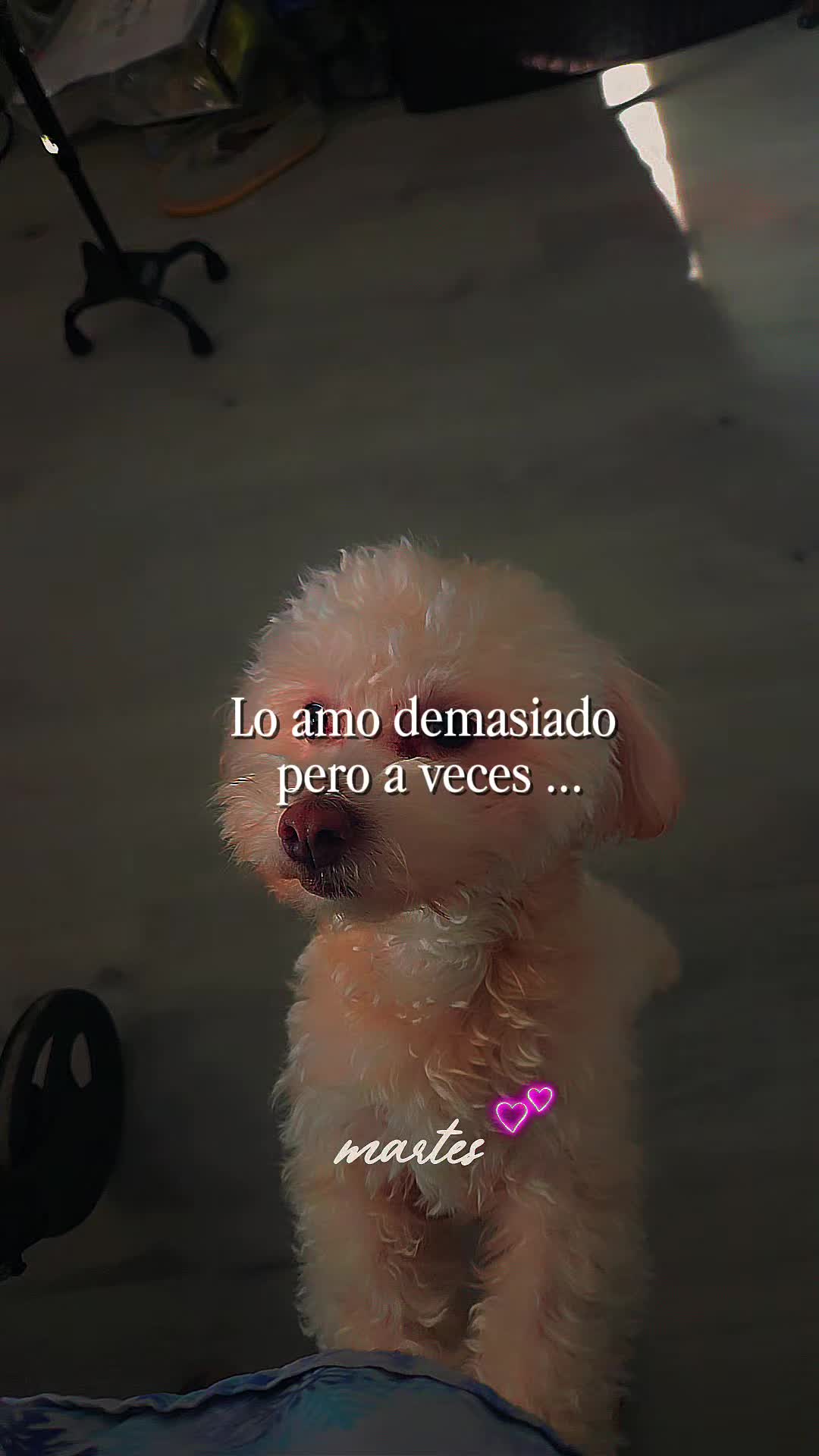 @rios8614303784714