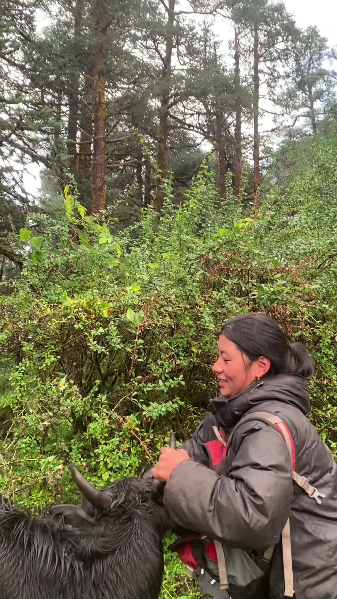 @Ang furba Sherpa