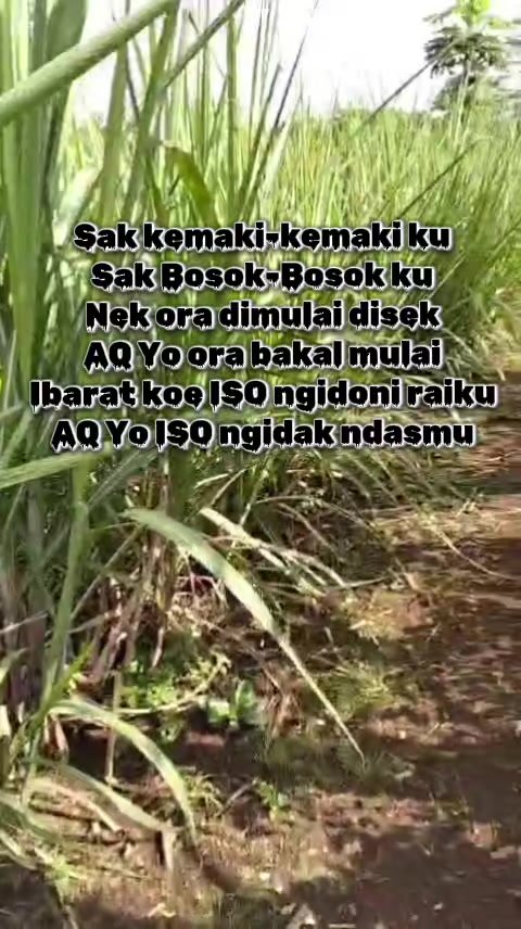 @K 3664 A