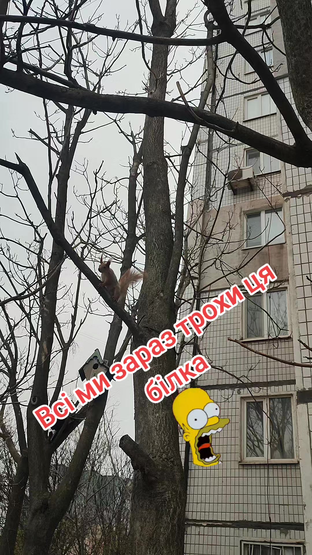 @ЧЕРТОВКА_В_КЕДАХ