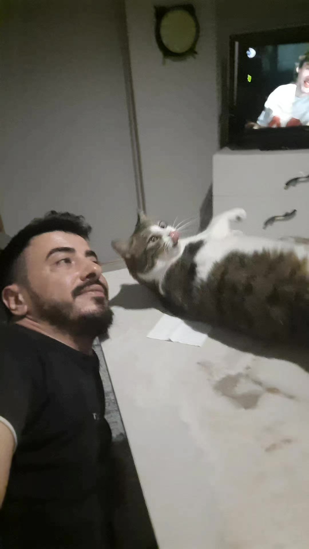 @Metin Doğan