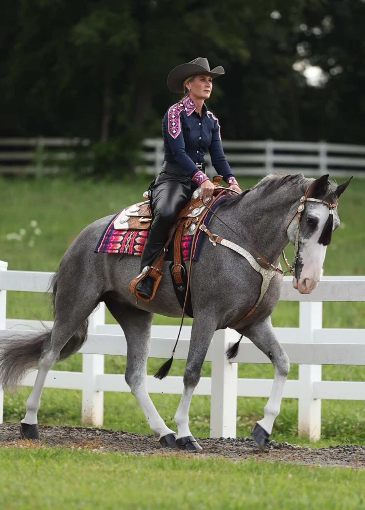 @Miranda | Equine Photographer