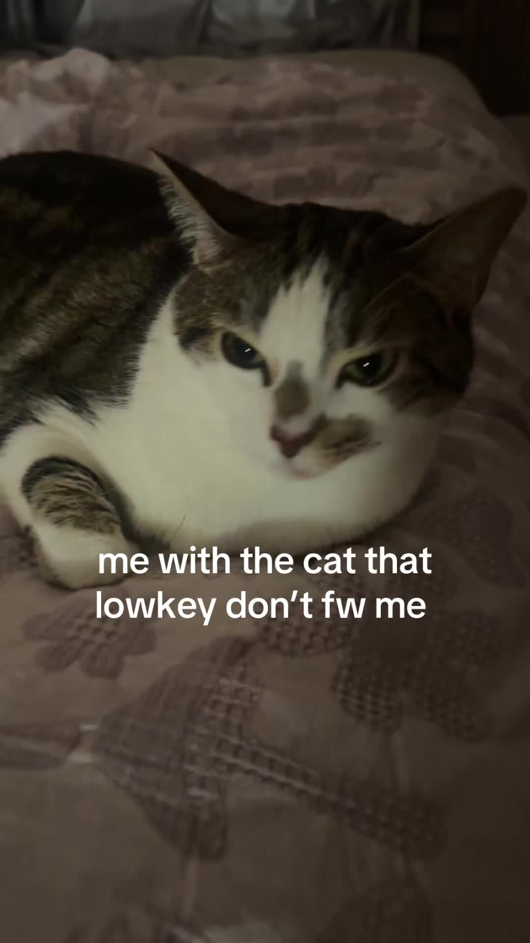 @☆