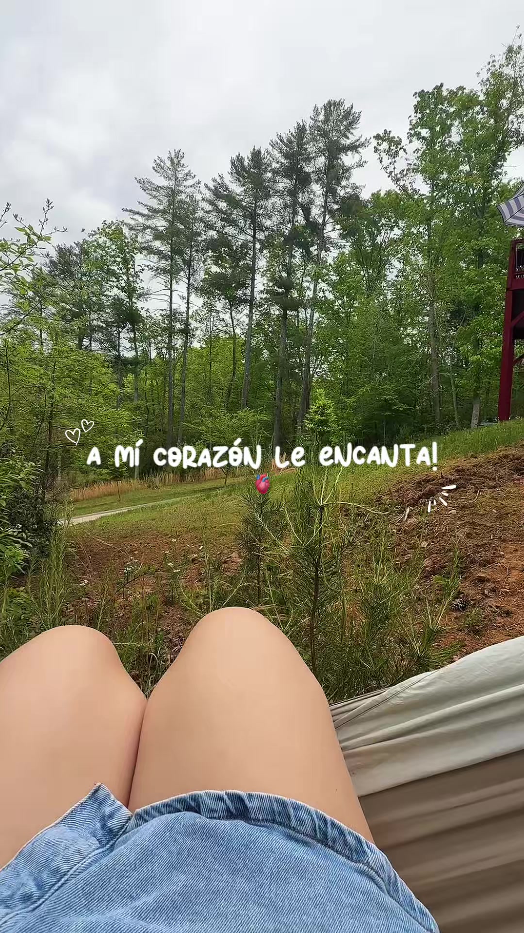 @✨Stephanie Cairasco✨🌻🍀🌌🌠