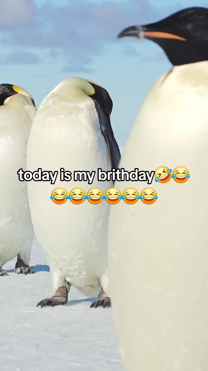 @Mumble but 𝓯𝓻𝓮𝓪𝓴𝔂