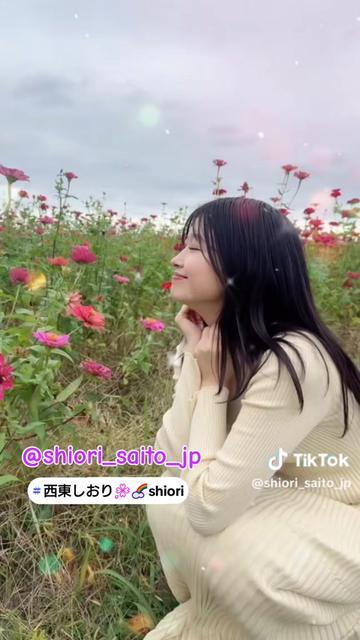 @🐼マナシュ🌸🌈しおり沼民