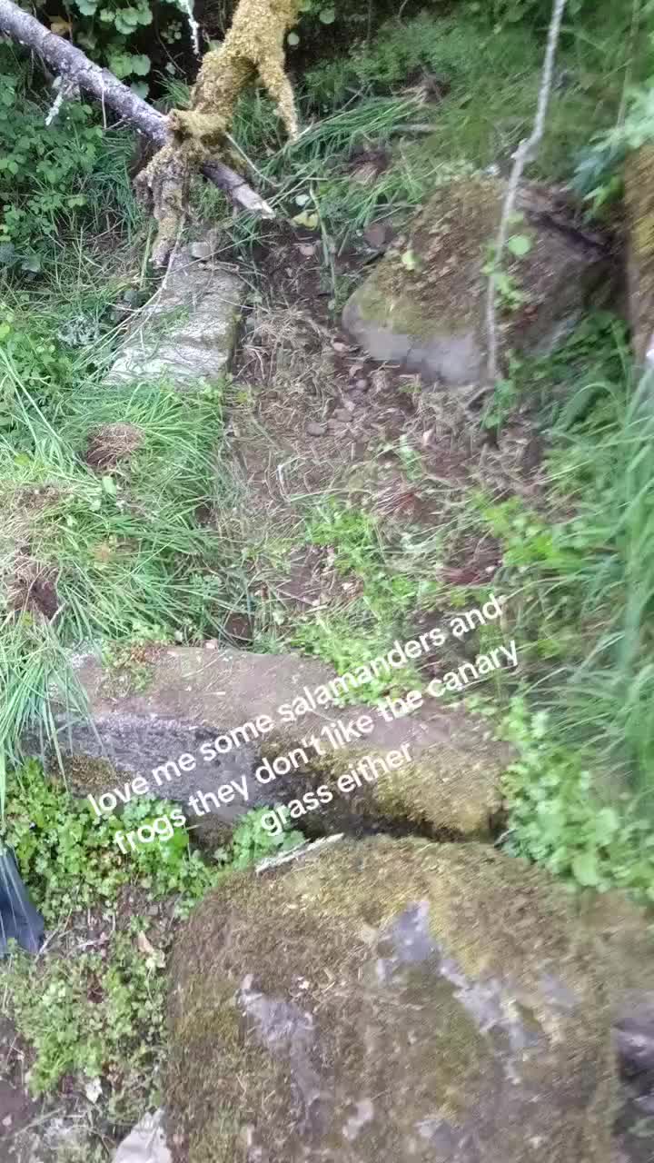 @Sean.Greiner_Silverton.Or