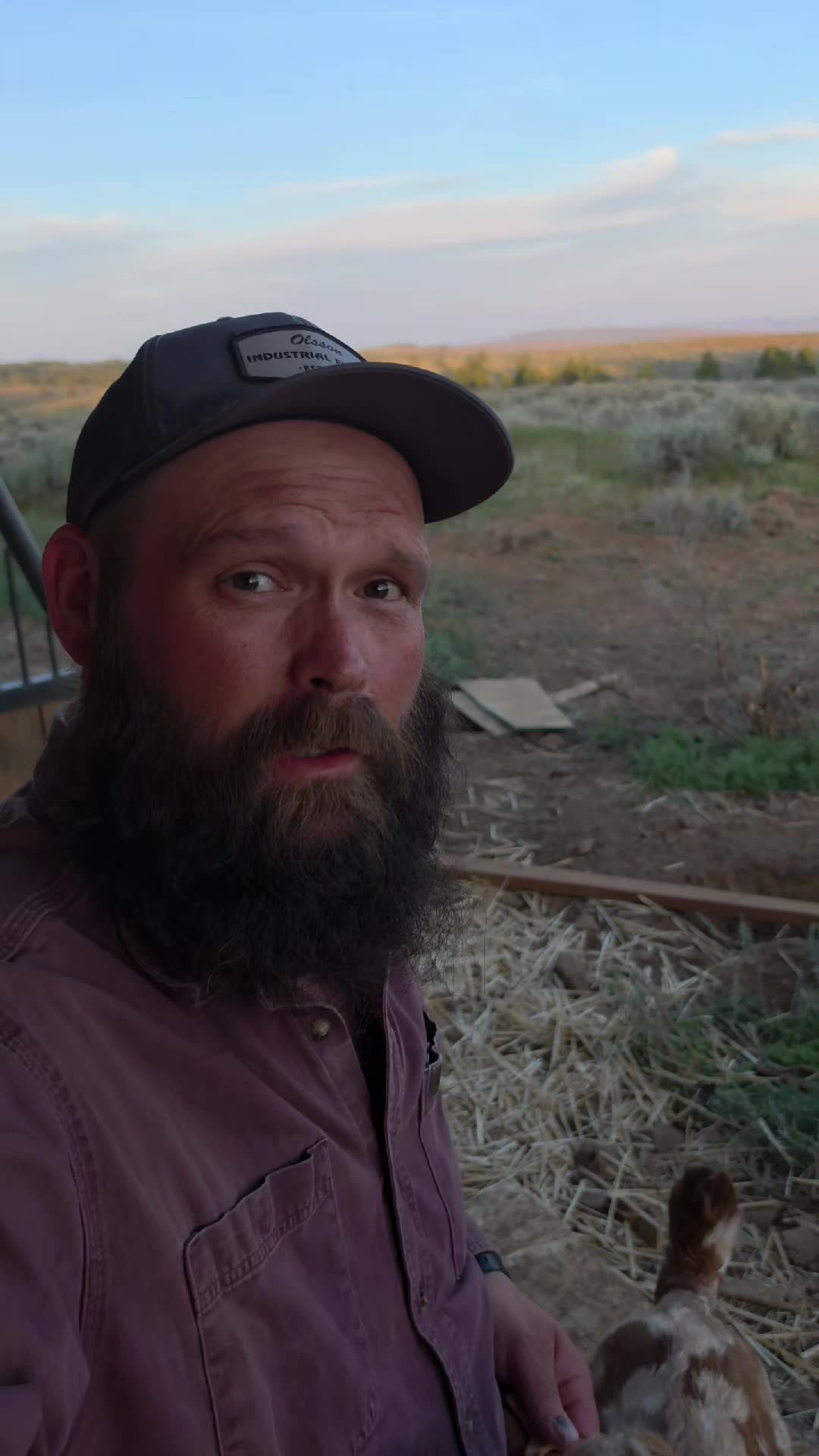 @thebeardedfamily1