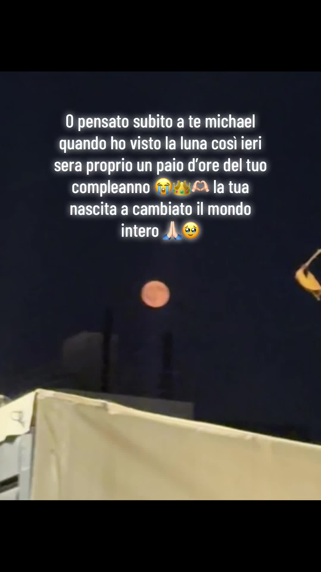 @Marta🦋✨👑 MJ