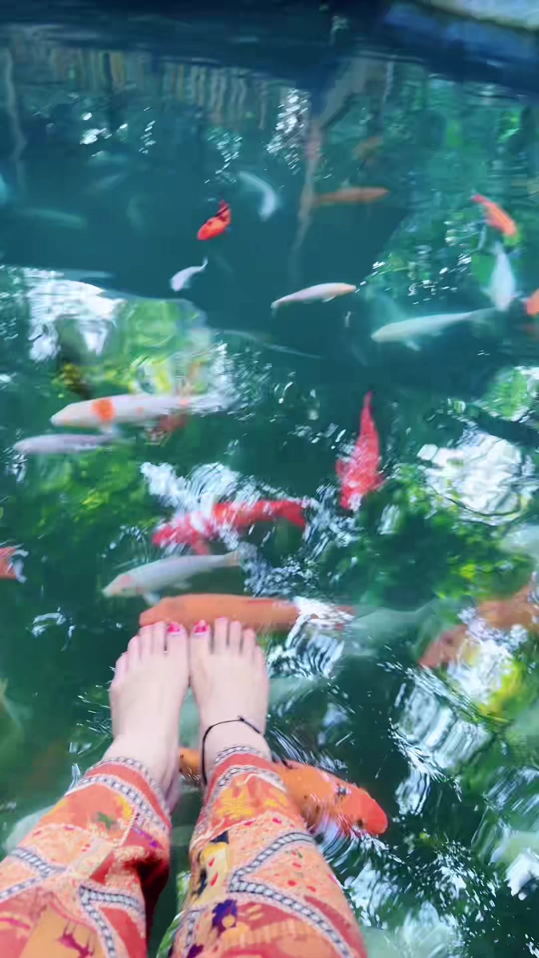 @shobeequeen2