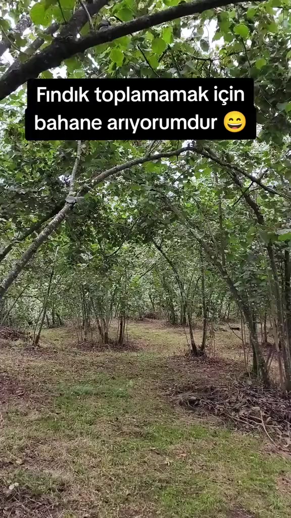 @Muharrem_Deniz_TOMBAŞ