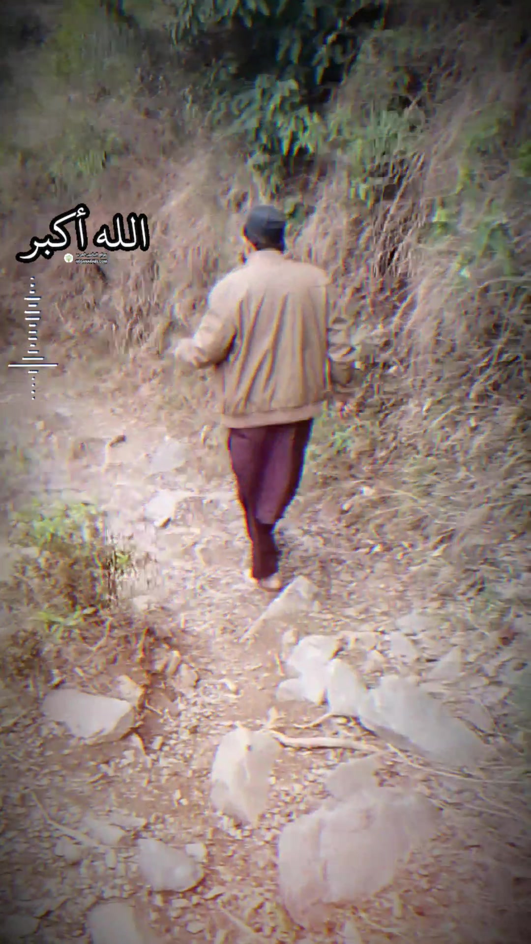 @zafar 52239