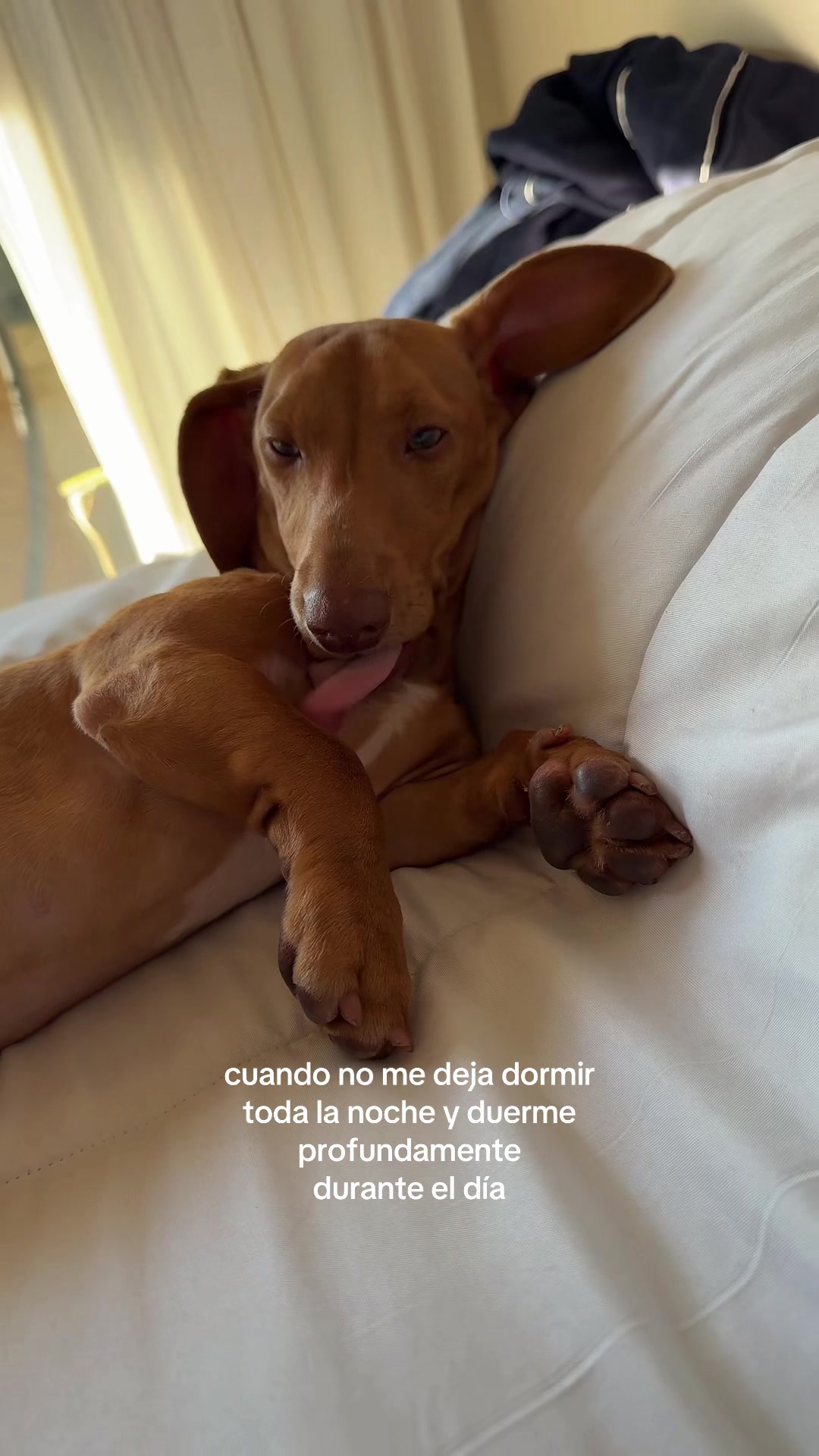 @TOTI