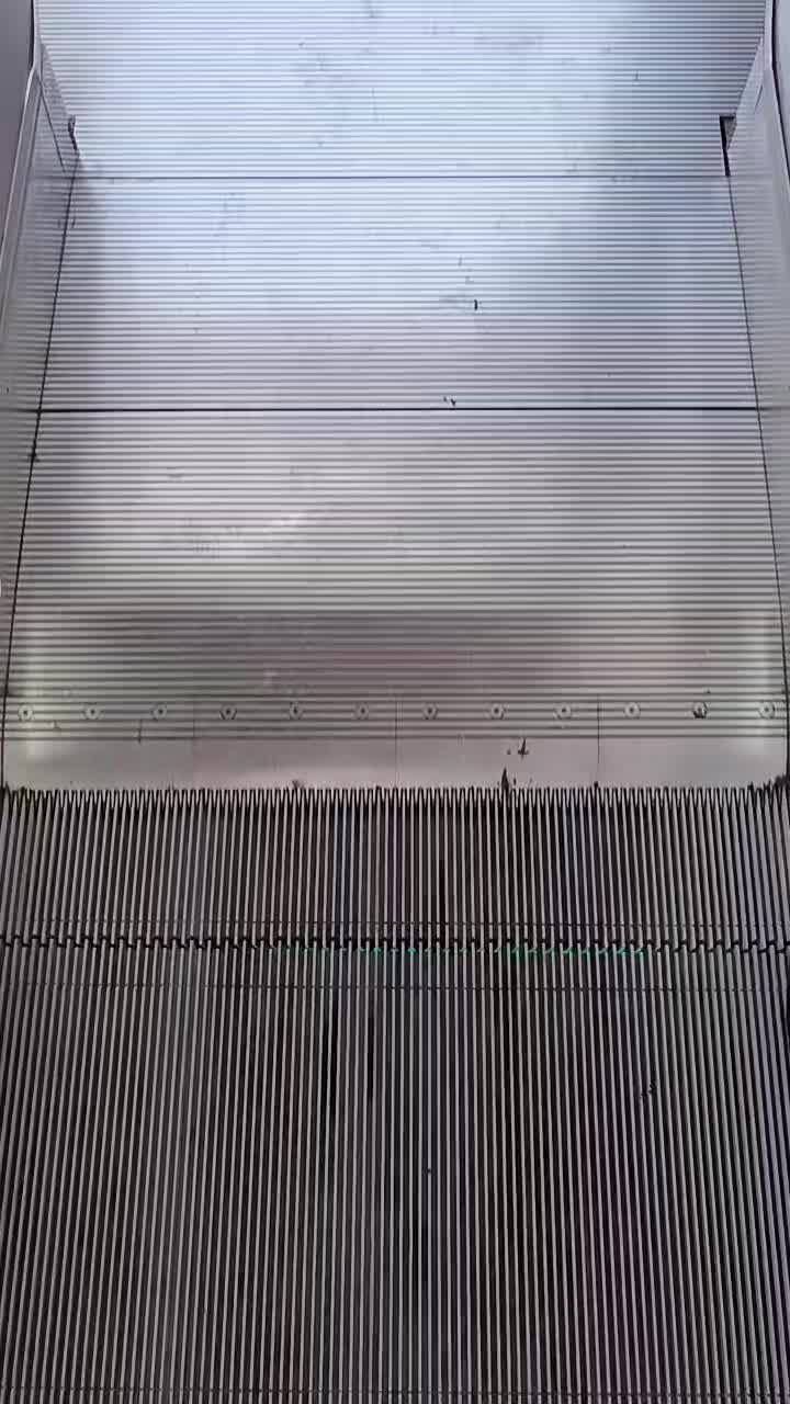 @ʄǟʀiֆ _🦁