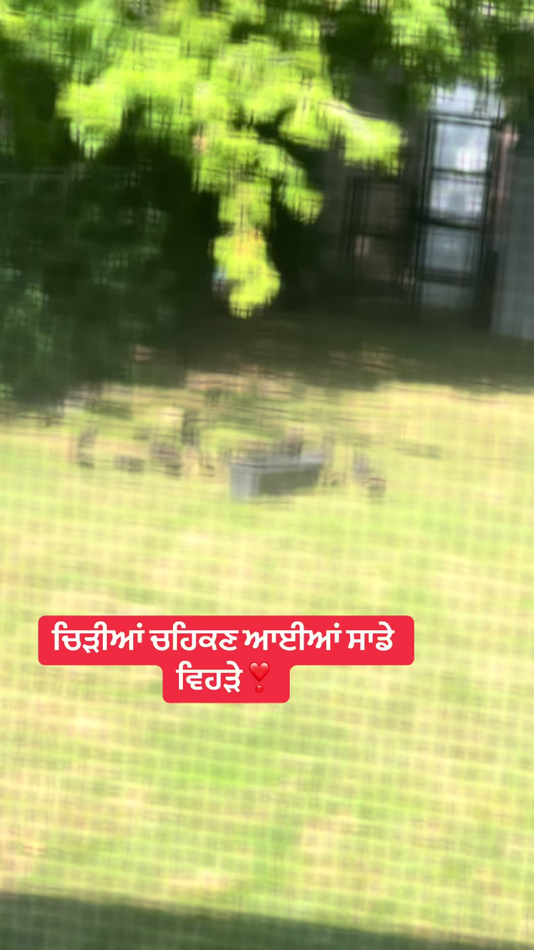 @Jashan Brar
