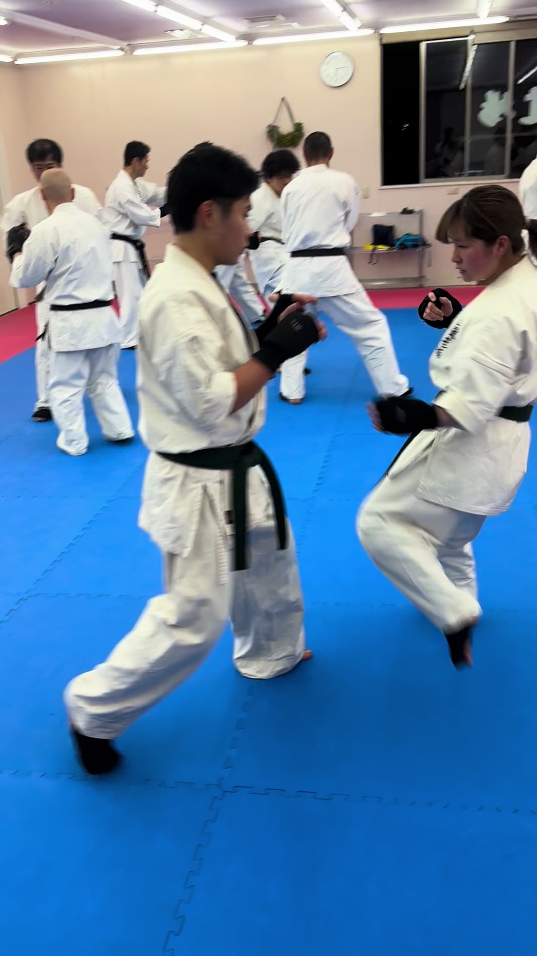 @kudodojo