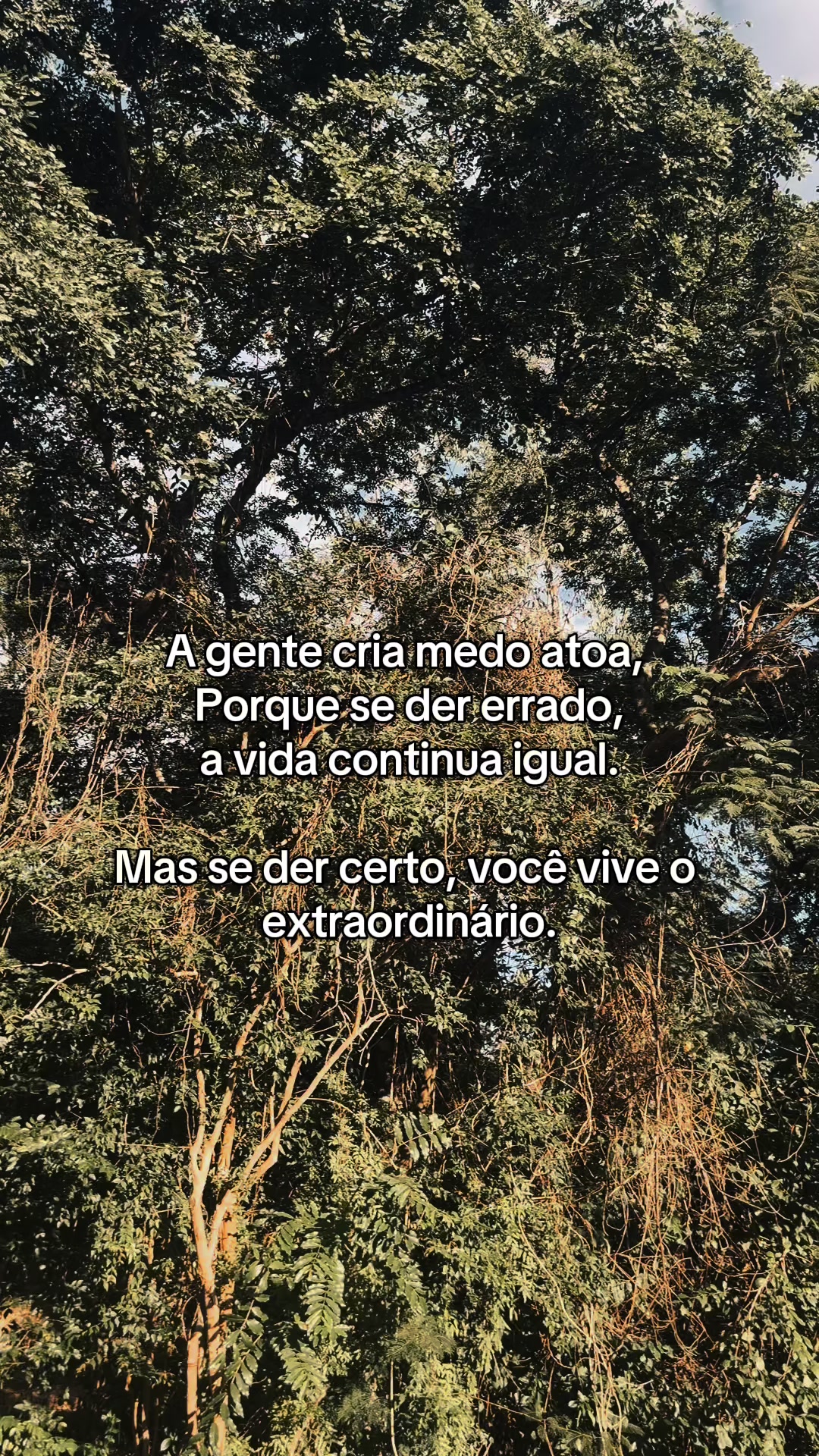 @Janaina Lima