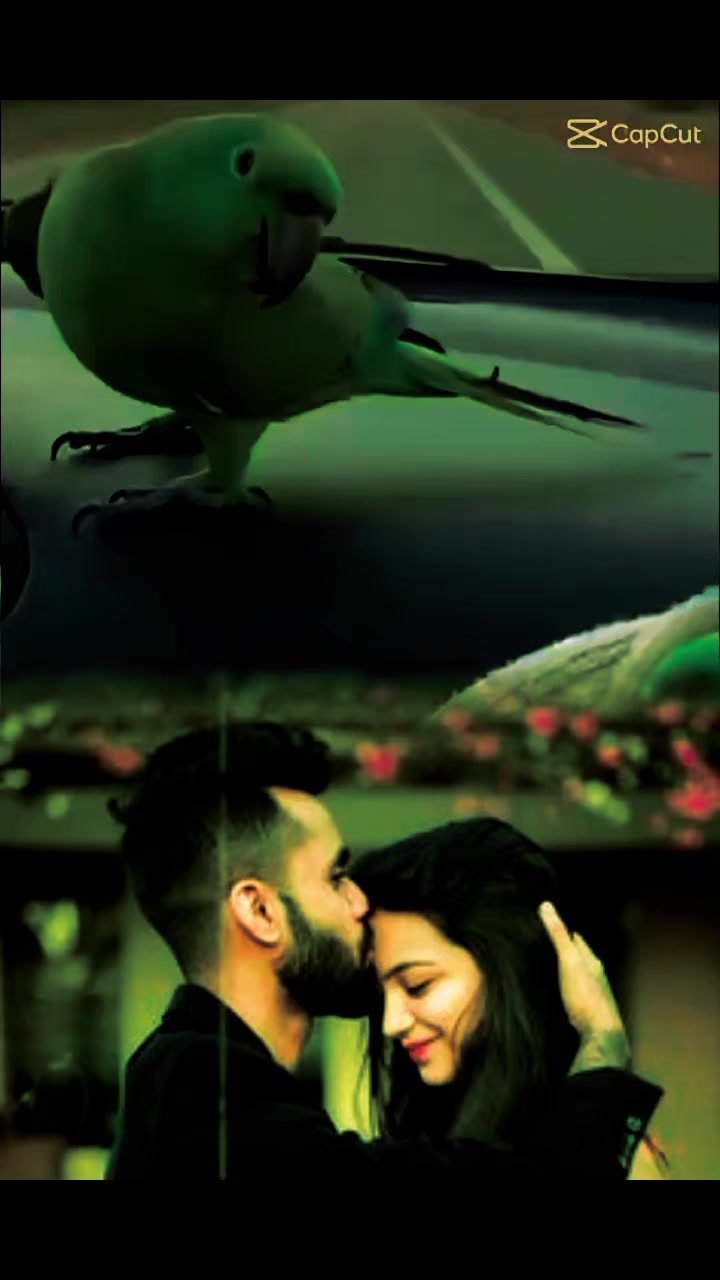 @shivsankar