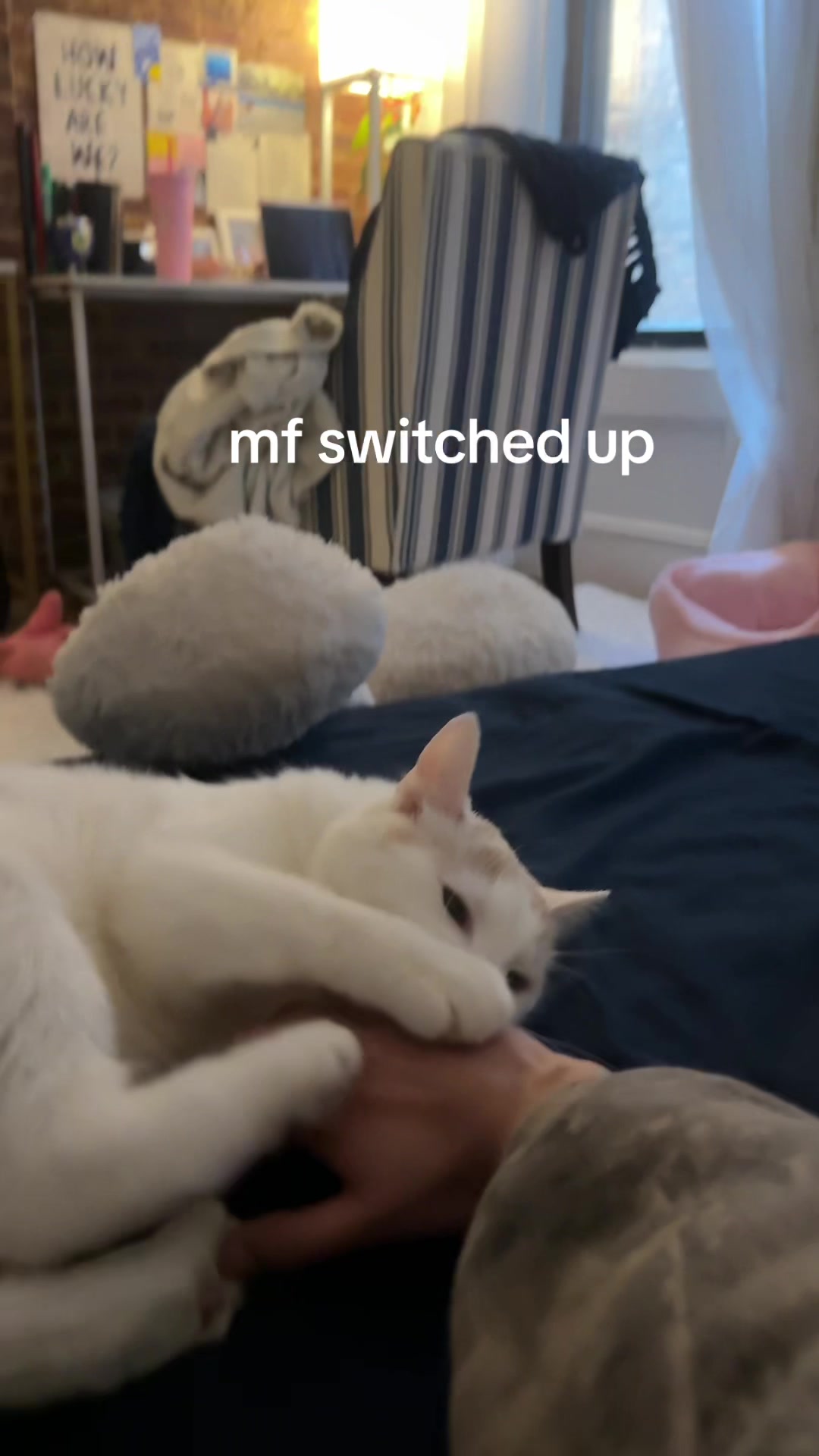 @Ishh