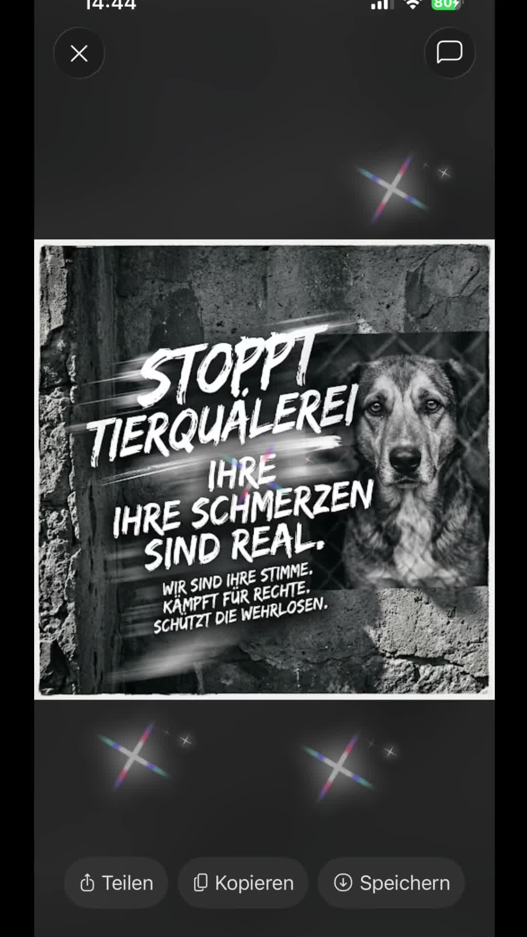 @Lua Team🐈🐕🦺Löwenherz❤️🦁