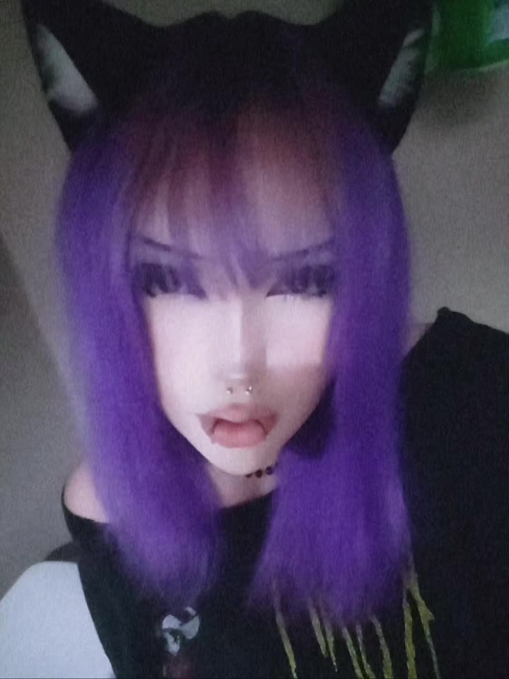 @kitty≽(•⩊ •マ≼