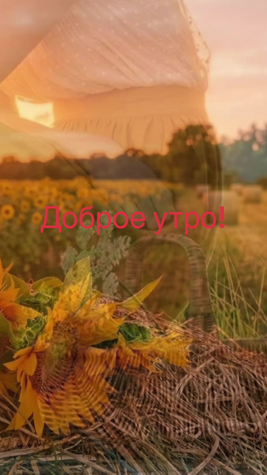 @Файруза Ковалинская