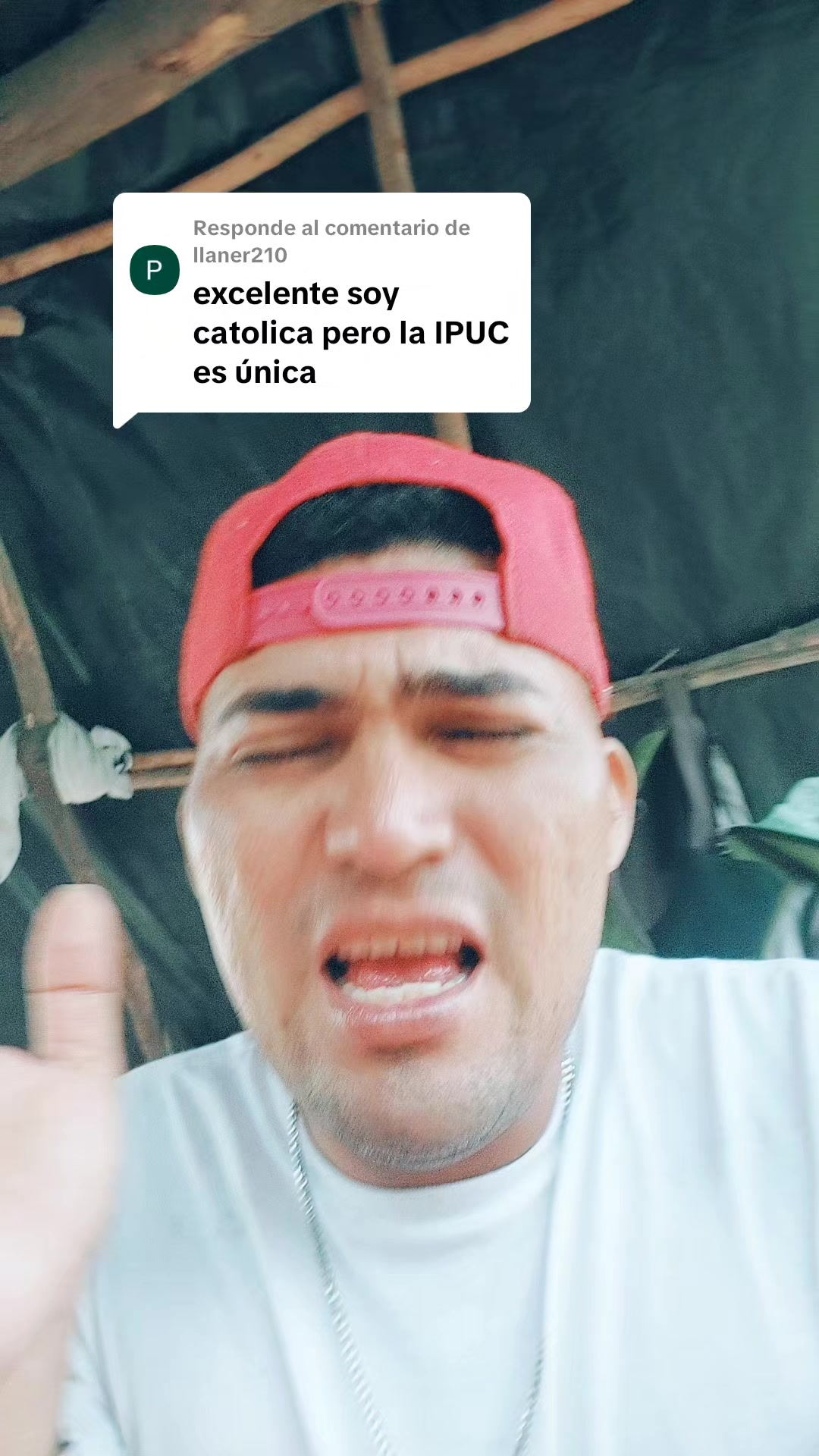 @mi amor julio