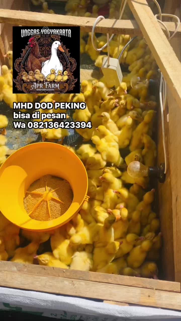 @Aprfarm