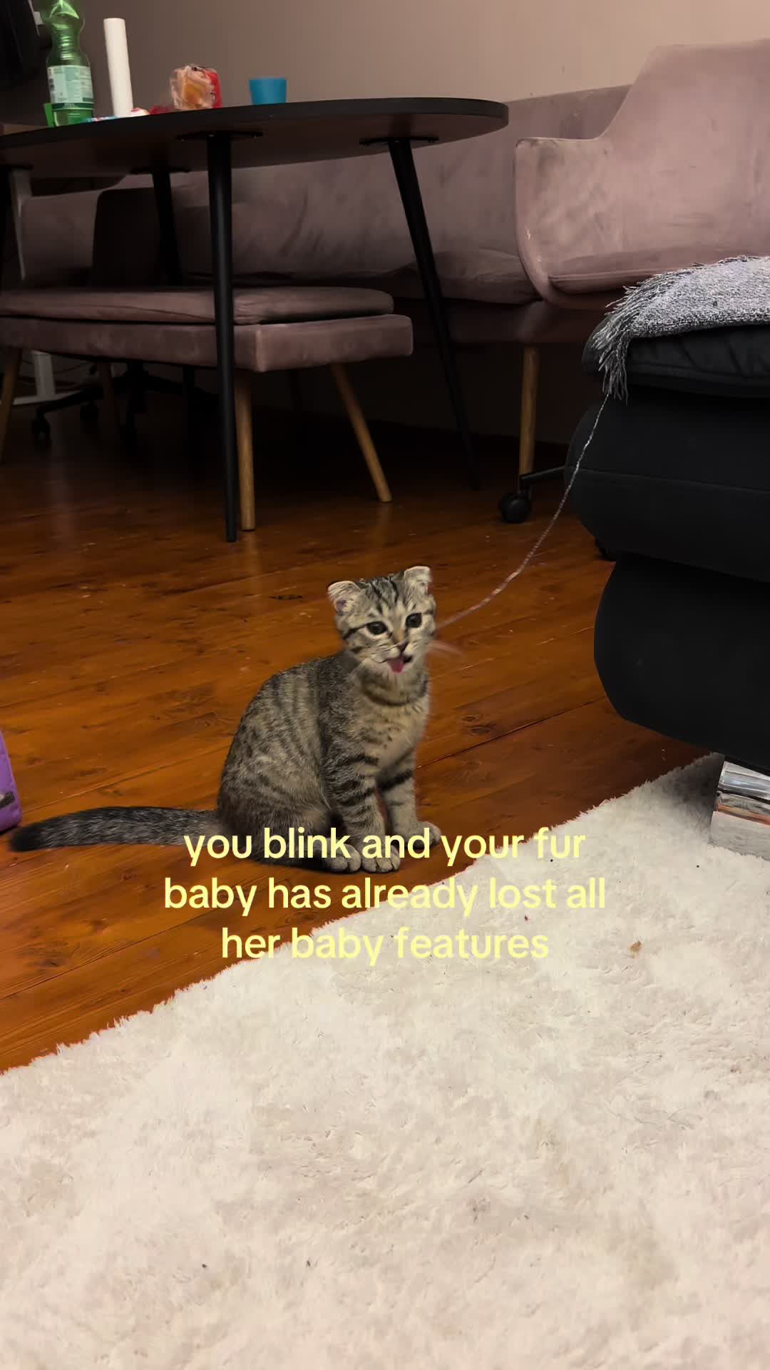 @Mina