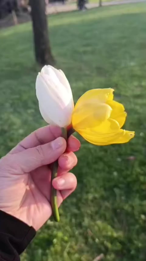 @Memleketim58