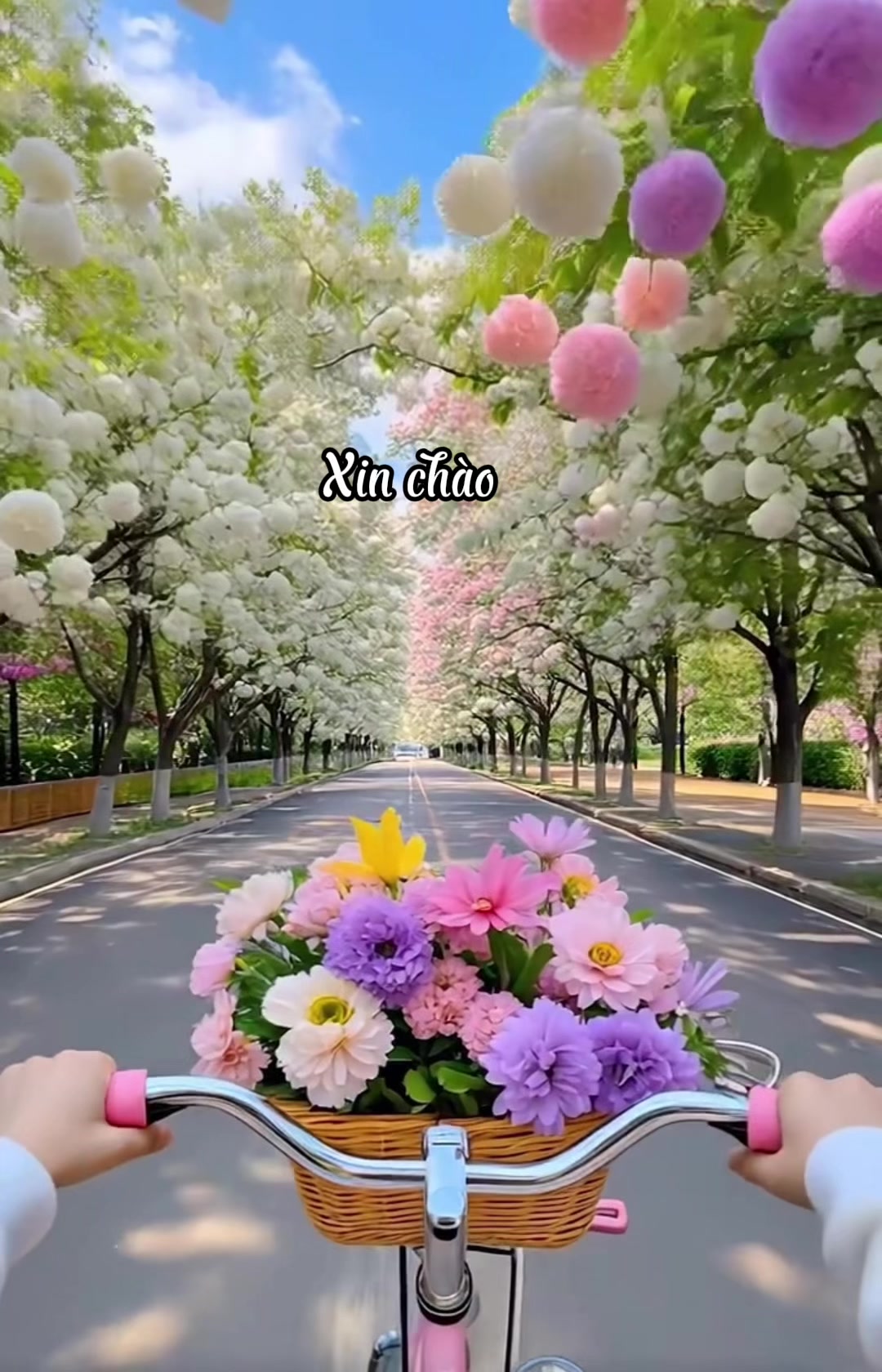 @radio_tinh610