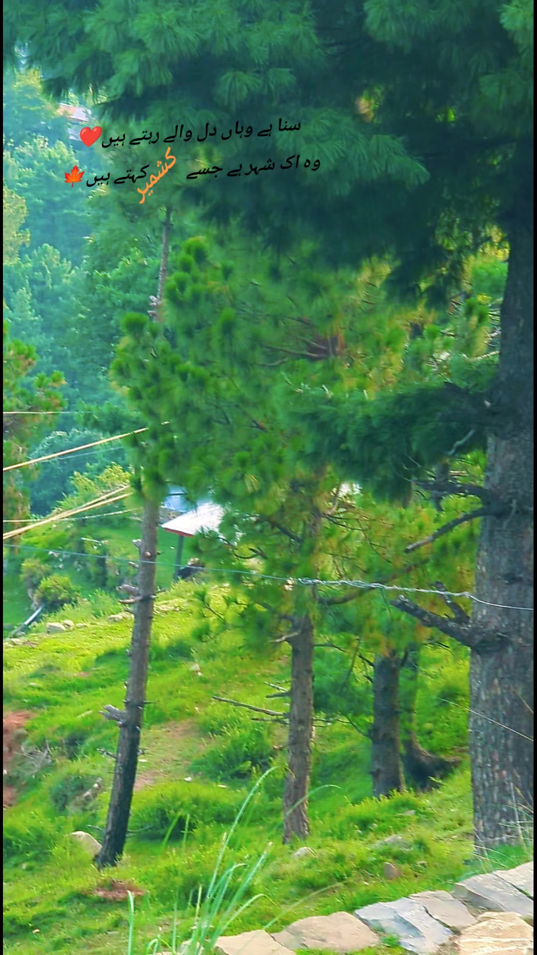 @💔اسامہ گجرکشمیـͫــͣــͥــری❣️