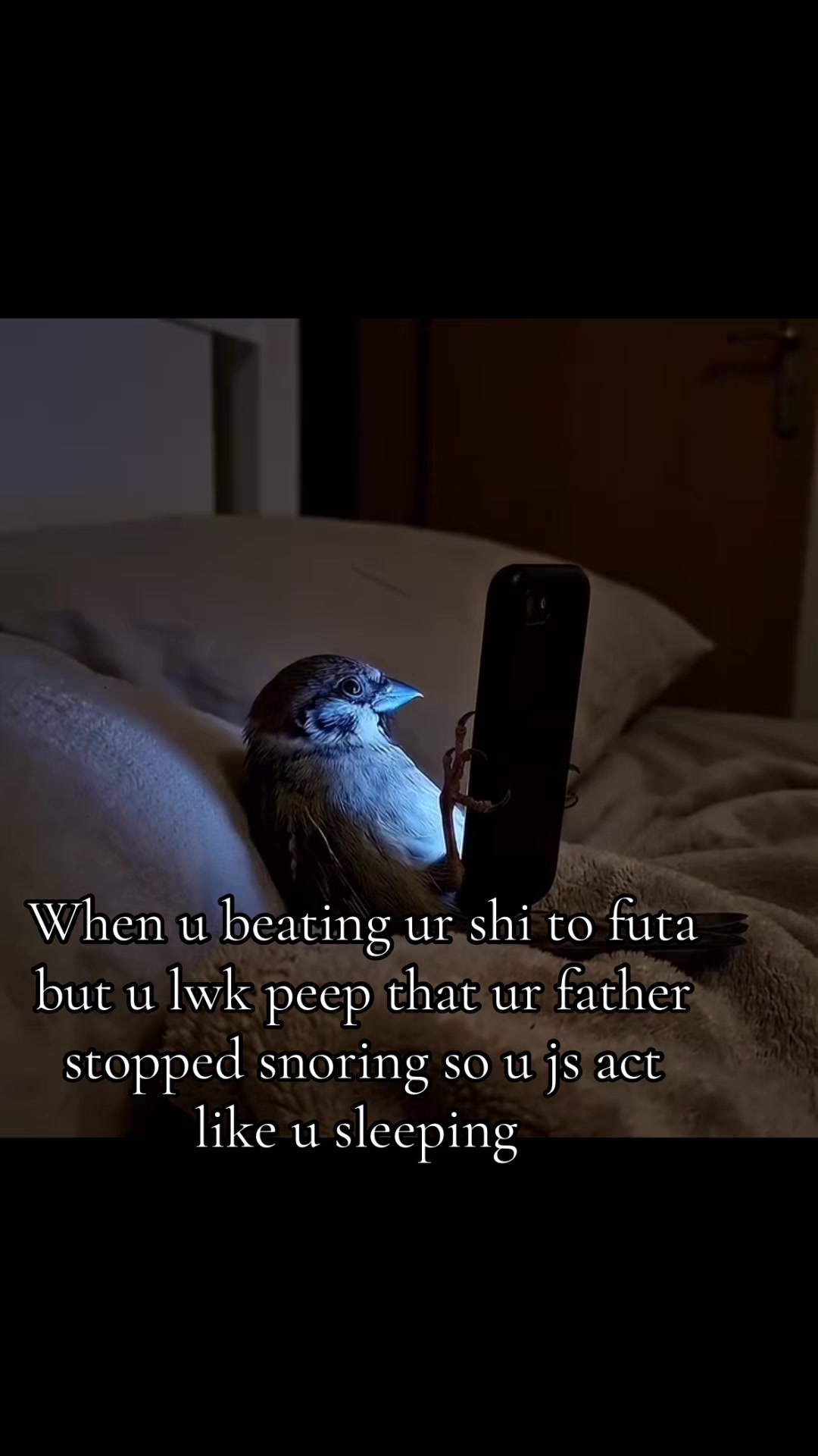 @Gilpetperdon