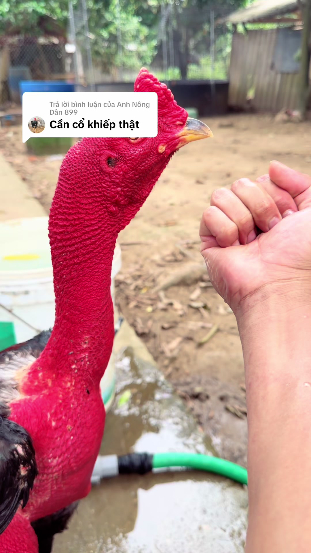 @Quyền Ba V&igrave;