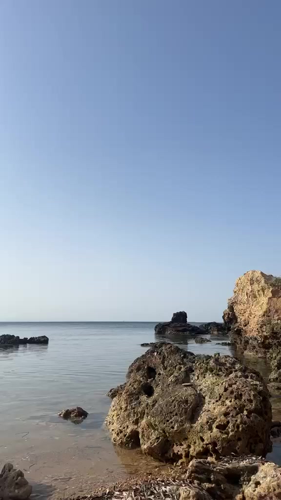 @Francafusaro05