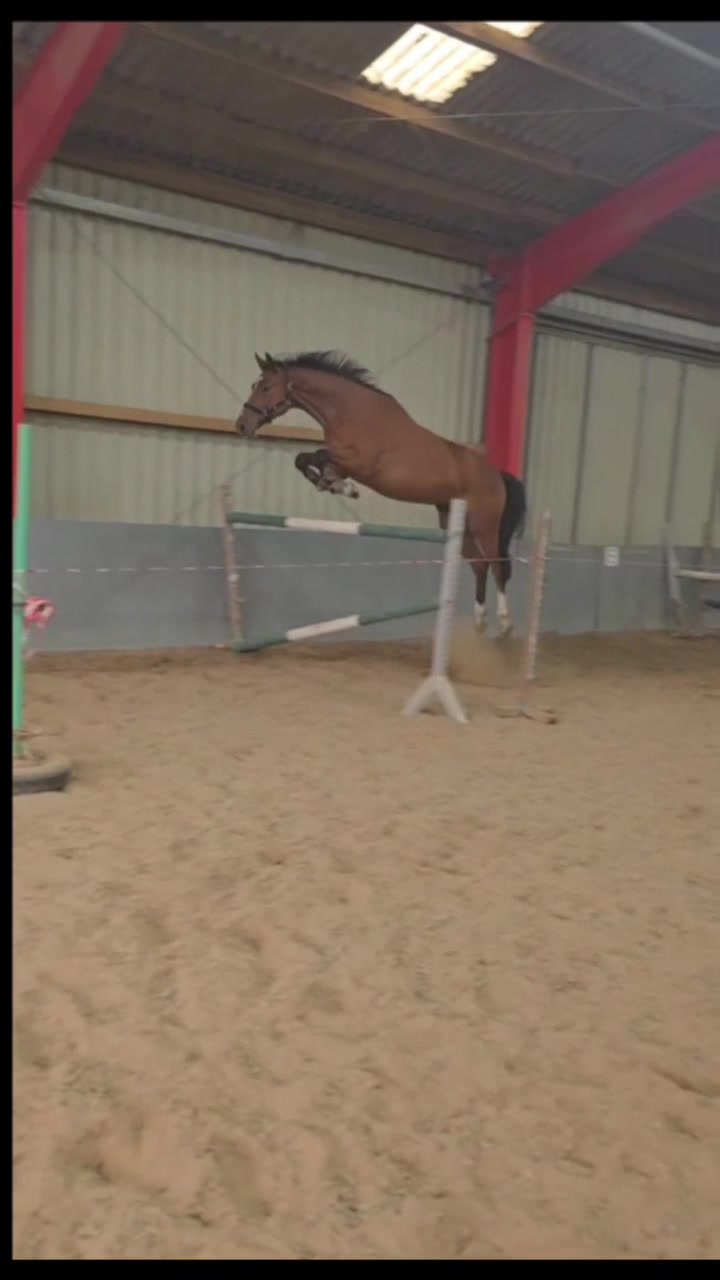 @laura_equestrian25