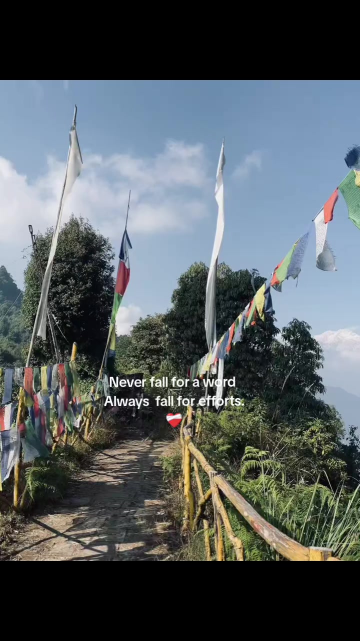 @DimDonG🐉💙
