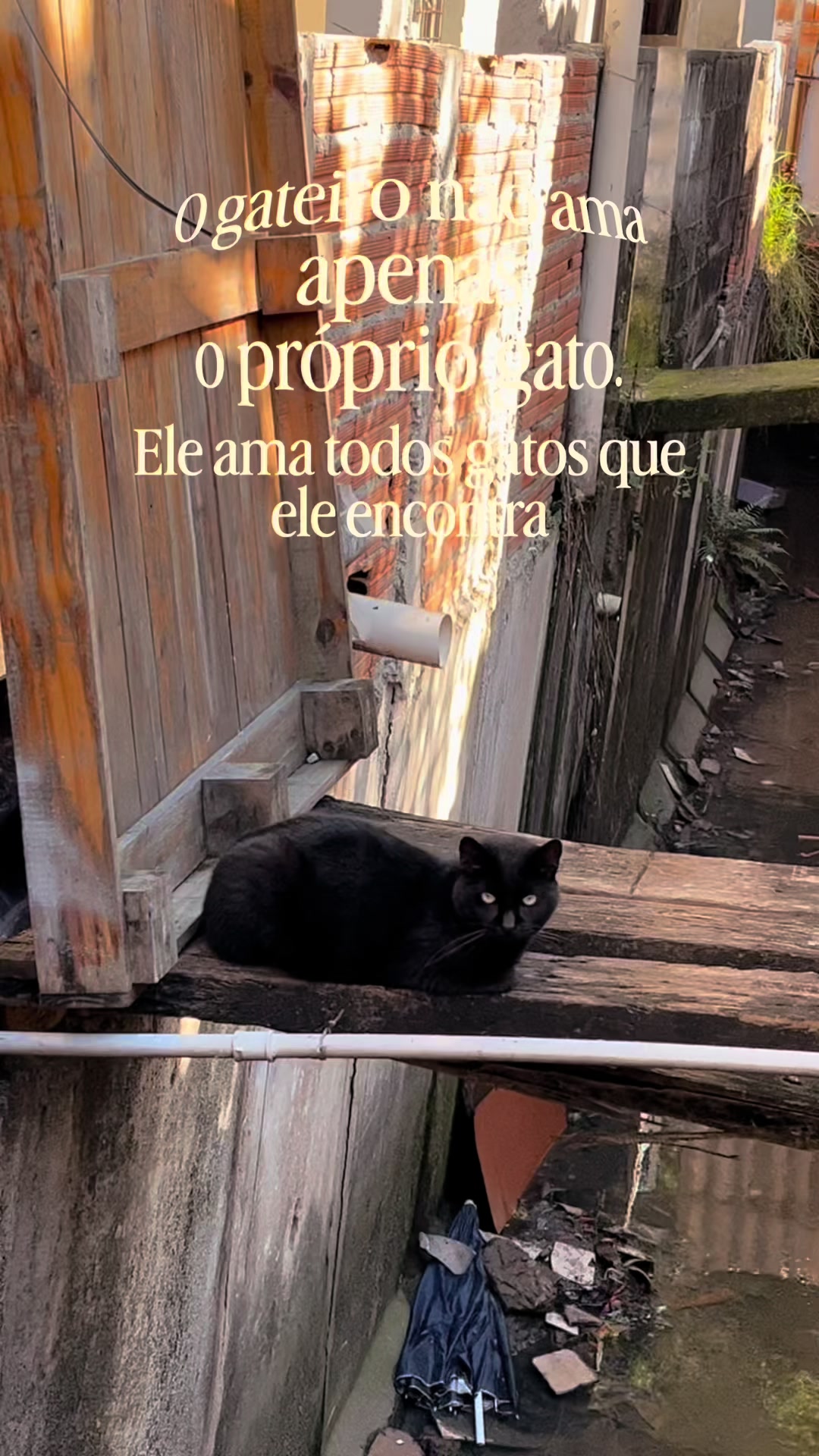 @arealcabulosa