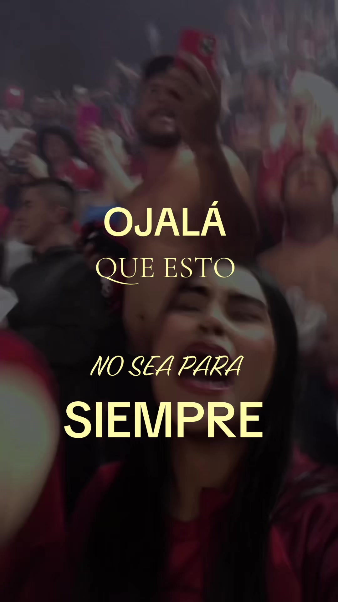 @maoladeldim