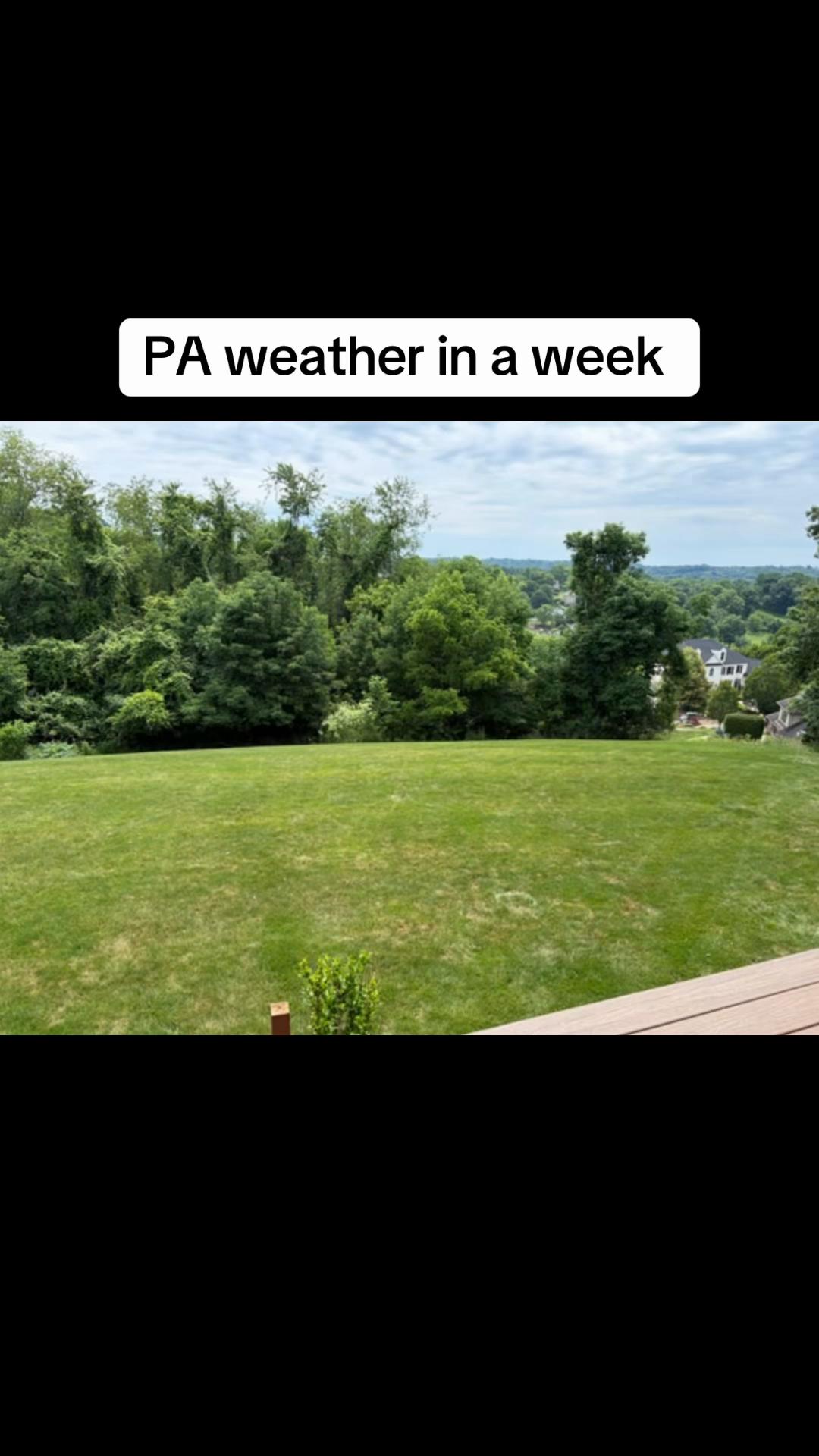 @weatherdesk🌴
