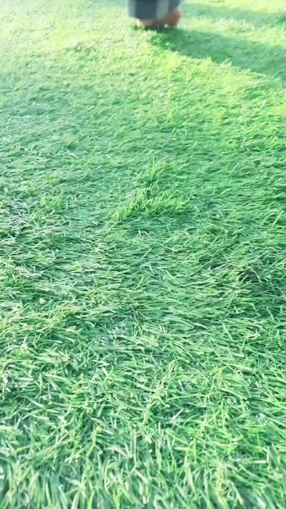 @ЁЯХЙя╕П