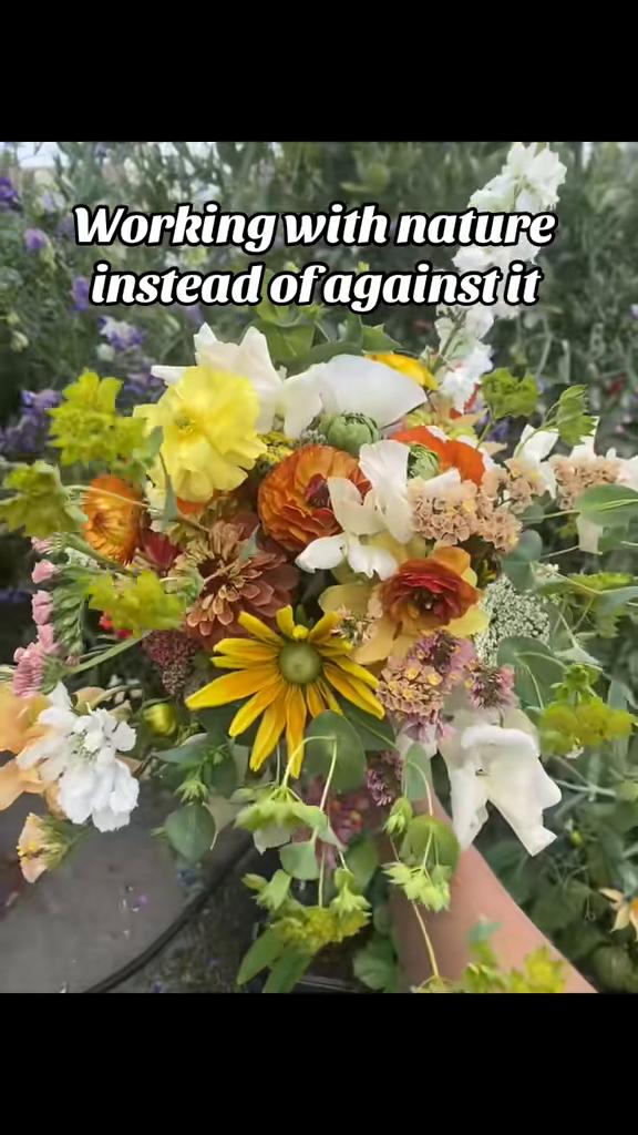 @Rylee’s Blooms