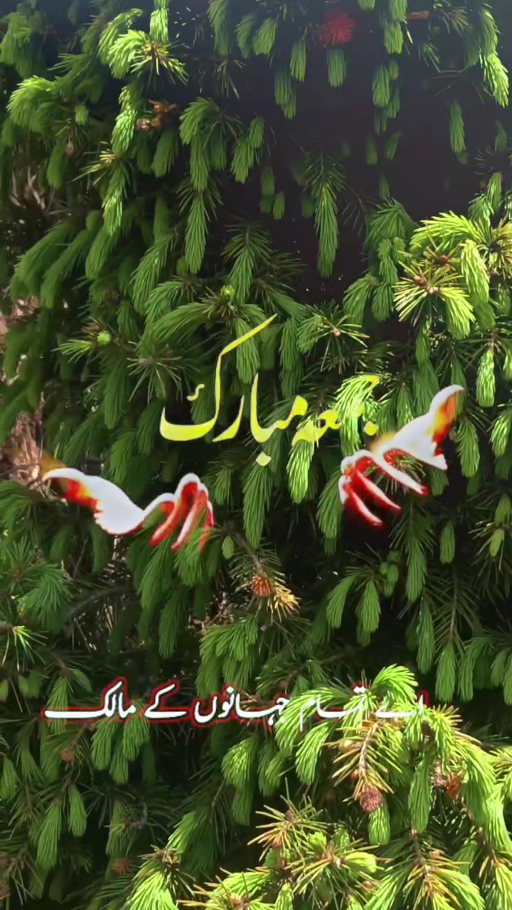 @Fayyaz Ahmad 804