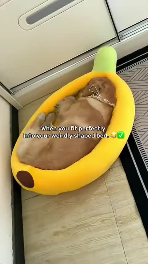 @Golden fam