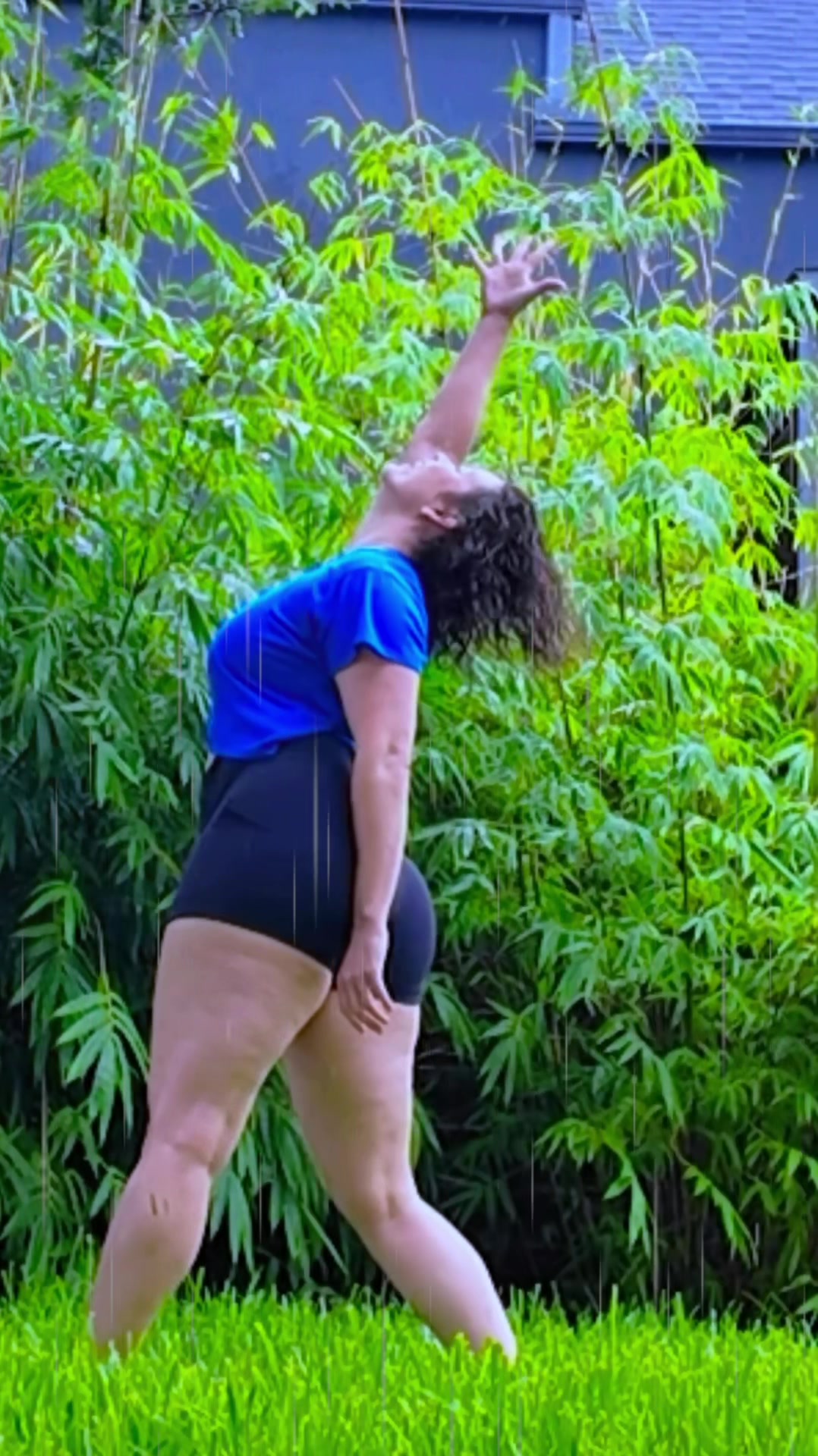 @seekatedance